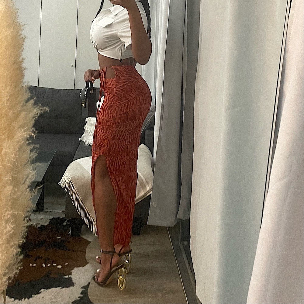 Zara Printed Tulle Skirt